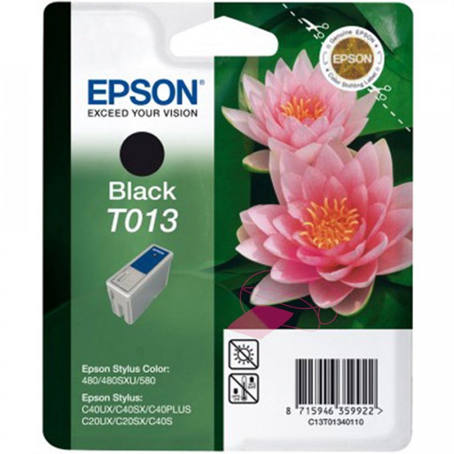 Epson T013 Musta Mustepatruuna