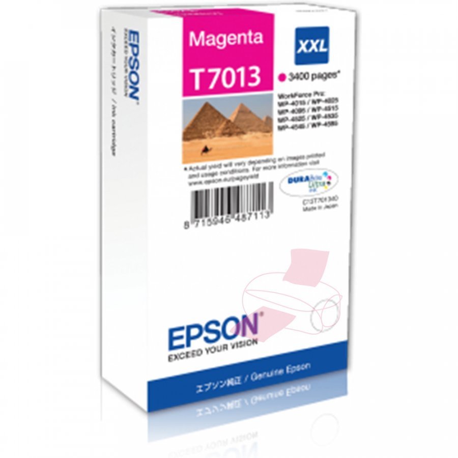 Epson T7013 Magenta Mustepatruuna